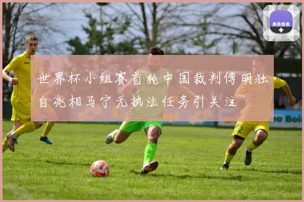世界杯小组赛首轮中国裁判傅明独自亮相马宁无执法任务引关注