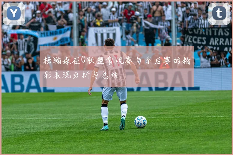 杨瀚森在G联盟常规赛与季后赛的精彩表现分析与总结