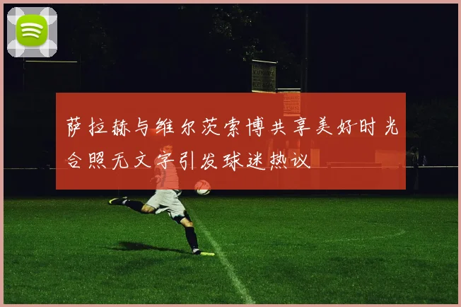 萨拉赫与维尔茨索博共享美好时光合照无文字引发球迷热议